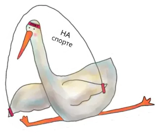 🏃‍♂️ НА спорте 새, 운동, 줄넘기, 스포츠, 피트니스, 활동적인 라이프스타일, 백조 telegram sticker
