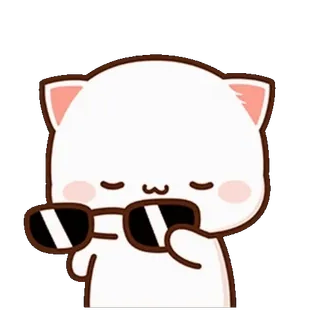 😎 gatto, carino, cool, occhiali da sole, animale, cartone animato, adesivo telegram sticker