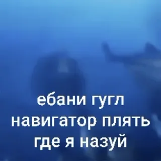 🌟 ебани гугл навигатор плять где я назуй google, navigator, shark, deep sea, funny, russian whatsapp sticker