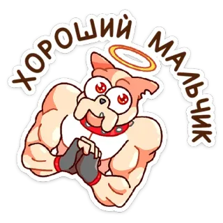 😇 ХОРОШИЙ МАЛЬЧИК chien, dessin animé, muscle, halo, collier telegram sticker