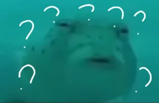 😕 в замешательстве, рыба, вопросительные знаки, водный, вода telegram sticker