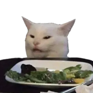 😠 Smudge the cat chat, mème, table, salade, en colère telegram sticker
