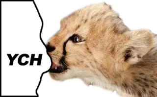 📟 YCH cheetah, animal, cat whatsapp sticker