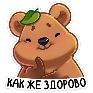 ☺️ КАК ЖЕ ЗДОРОВО Bär, Cartoon, Niedlich, Text, Tier, Russisch whatsapp sticker