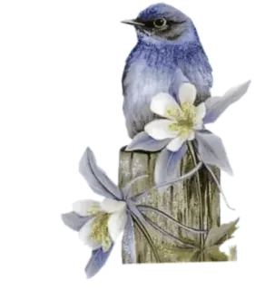 🕊 นก, นกบลูเบิร์ด, ดอกไม้, ธรรมชาติ, สัตว์ป่า, ฤดูใบไม้ผลิ telegram sticker