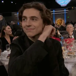 🕊 Timothée Chalamet Timothée Chalamet, diễn viên, người nổi tiếng, giải thưởng, Quả cầu vàng telegram sticker