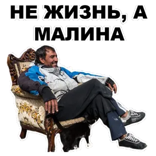 🍓 НЕ ЖИЗНЬ, А МАЛИНА Meme Rusia, lucu, bahasa gaul, senang, pria, kursi whatsapp sticker