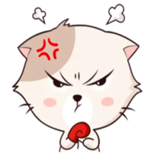 😡 chat, en colère, dessin animé, animal, mignon, rouge, boxe, combat telegram sticker