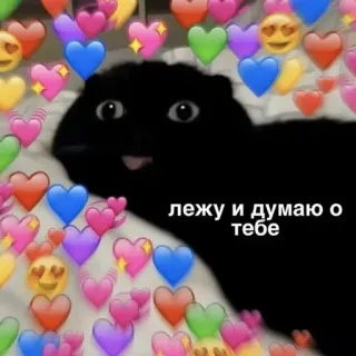 🩹 лежу и думаю о тебе Katze, Herzen, Liebe, Süß, Denken, Zuneigung whatsapp sticker