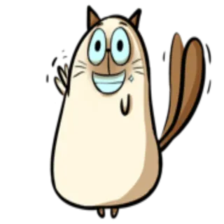 🙂 gato, dibujos animados, animal, pegatina, lindo, amigable, gafas telegram sticker