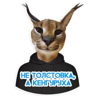 Большой Петербургский кот telegram stickers