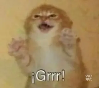 😸 ¡Grrr! kat, boos, knorrig, meme, dier, katachtig telegram sticker