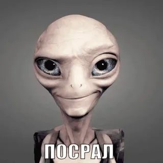 👍 Gegel null ПОСРАЛ alien, meme, funny, extraterrestrial, scifi, creature telegram sticker