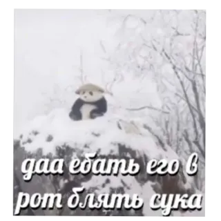 Больше стиков тут: @stikery4 whatsapp stickers