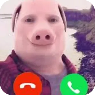 🤩 Pig whatsapp sticker
