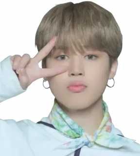 ✌️ person, kpop, celebrity, peace sign, cute, singer telegram sticker