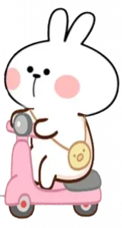🛴 lapin, scooter, mignon, dessin animé, bande dessinée telegram sticker