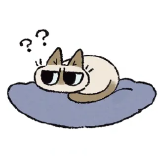 ❓ cat, question mark, confused, animal, pet, cute telegram sticker