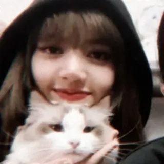 😊 woman, cat, hoodie, selfie, pet, animal, cute, portrait whatsapp sticker