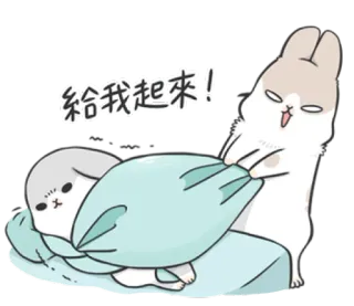 👿 給我起來！ lapin, phoque, coussin, endormi, dessin animé, mignon telegram sticker