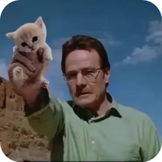 ✋ Walter White Breaking Bad gatto, gattino, Breaking Bad, Walter White, Heisenberg telegram sticker