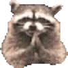 🦝