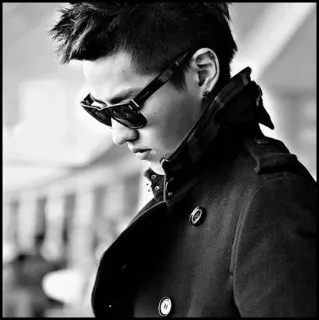 ♠️ uomo, occhiali da sole, bianco e nero, cappotto, moda, ritratto telegram sticker
