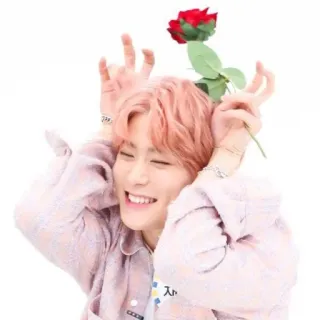 🎮 rose, person, flower, smile, cheerful telegram sticker