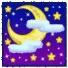 🌃