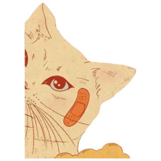 ✨ cat, animal, sticker, cute, pet, kitten, bandaid telegram sticker