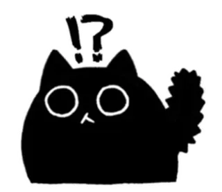 😲 kat, vraag, uitroep, verward, dier telegram sticker