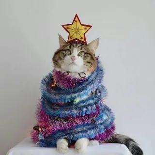 🎄 кот, Рождество, ёлка, питомец, животное, праздник, украшение telegram sticker