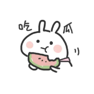 🍉 吃瓜 rabbit, watermelon, eating, cute, cartoon telegram sticker