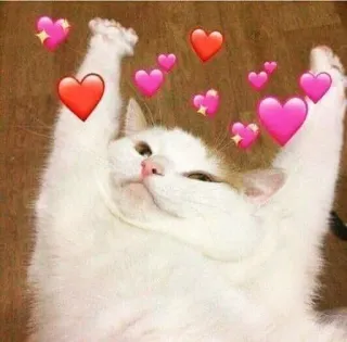 😌 mèo, trái tim, tình yêu, dễ thương, động vật telegram sticker