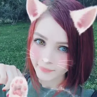 😺 oreilles de chat, patte de chat, hétérochromie, filtre, selfie telegram sticker