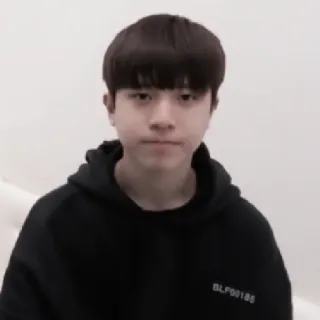 🐮 BLF00185 personne, coréen, asiatique, sweat à capuche, jeune, portrait telegram sticker
