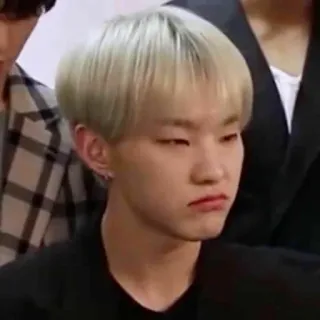 🐯 kpop, asiático, persona, hombre, cantante, ídolo, celebridad, expresión telegram sticker