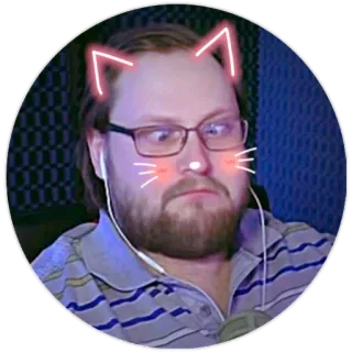 😺 남자, 고양이 귀, 스티커, 얼굴, 초상화, 안경, 수염, 사람 whatsapp sticker