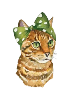 😏 Carlina Cola gato, gatinho, animal, animal de estimação, fofo, laço, verde whatsapp sticker
