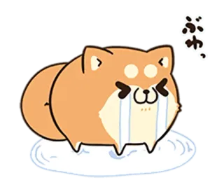 🐶 Hund, süß, weinen, Tier, traurig, Emoji, Sticker telegram sticker