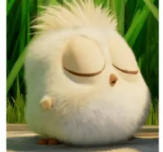 😌 vogel, schattig, dier, kuiken whatsapp sticker