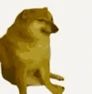 🥲 dog, meme, cheems, animal telegram sticker