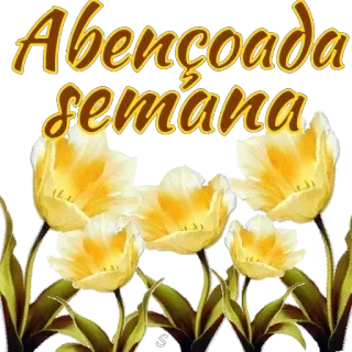 🙏 Abençoada semana gesegnet, Woche, Blumen, Tulpen, positiv, Gruß whatsapp sticker