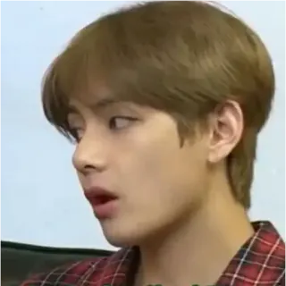 🏁 kpop, Idol, Promi, Sänger, Schauspieler, V, BTS telegram sticker
