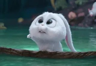 🍭 Snowball The Secret Life of Pets Schneeball, Hase, Kaninchen, Pets, süß, Tier telegram sticker