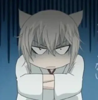 😨 Tomoe Kamisama Kiss Anime, Cáo, Chibi, Tức giận, Tomoe, Kamisama Kiss telegram sticker