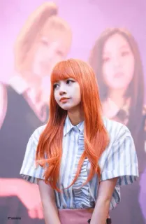 ••lalisa 🦊 [ @blackpinkmood ] whatsapp stickers