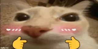 😽 cat, pointing, blush, meme, cute, animal telegram sticker