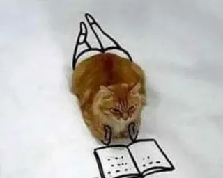🌟 cat, funny, drawing, book, humor, animal, legs telegram sticker