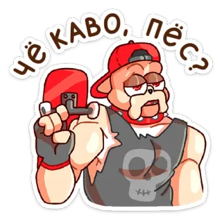 😒 Чё каво, пёс? chien, skateboard, dessin animé, crâne, casquette, russe telegram sticker